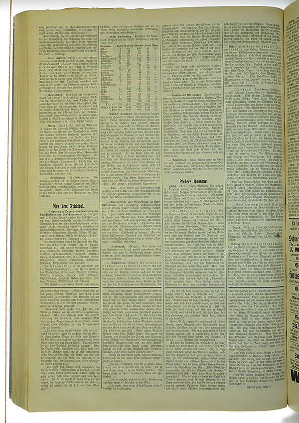 VSF_1917_87_2
