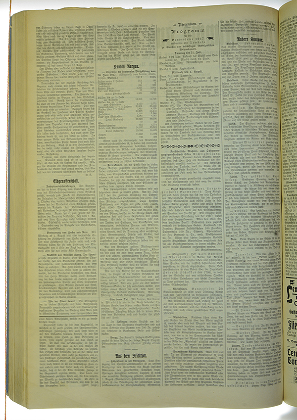VSF_1917_91_2