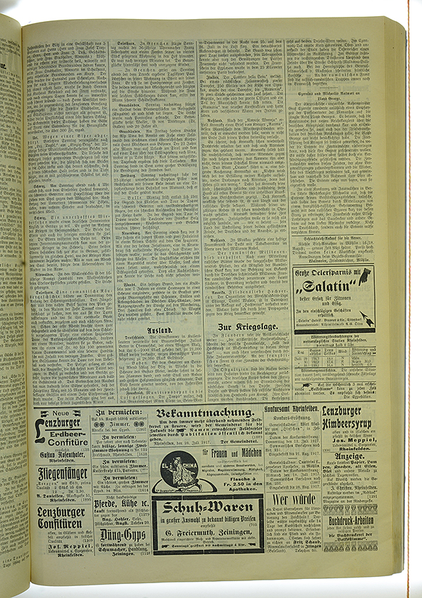 VSF_1917_91_3