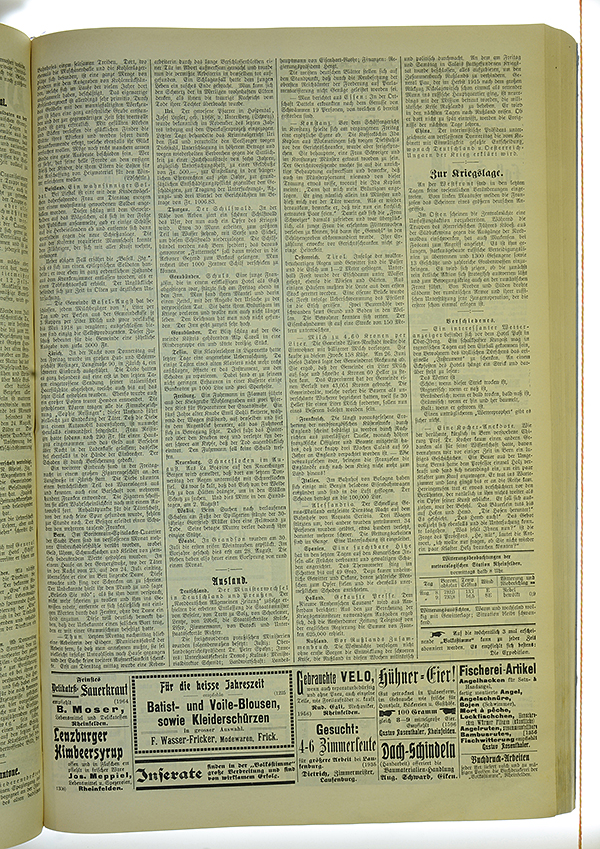 VSF_1917_95_3