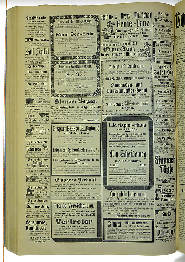 VSF_1917_95_4
