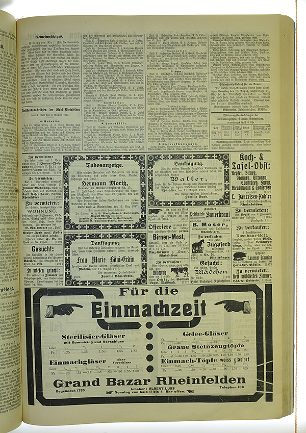 VSF_1917_96_3