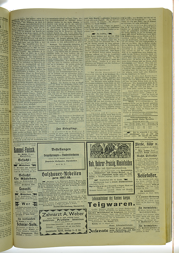 VSF_1917_99_3
