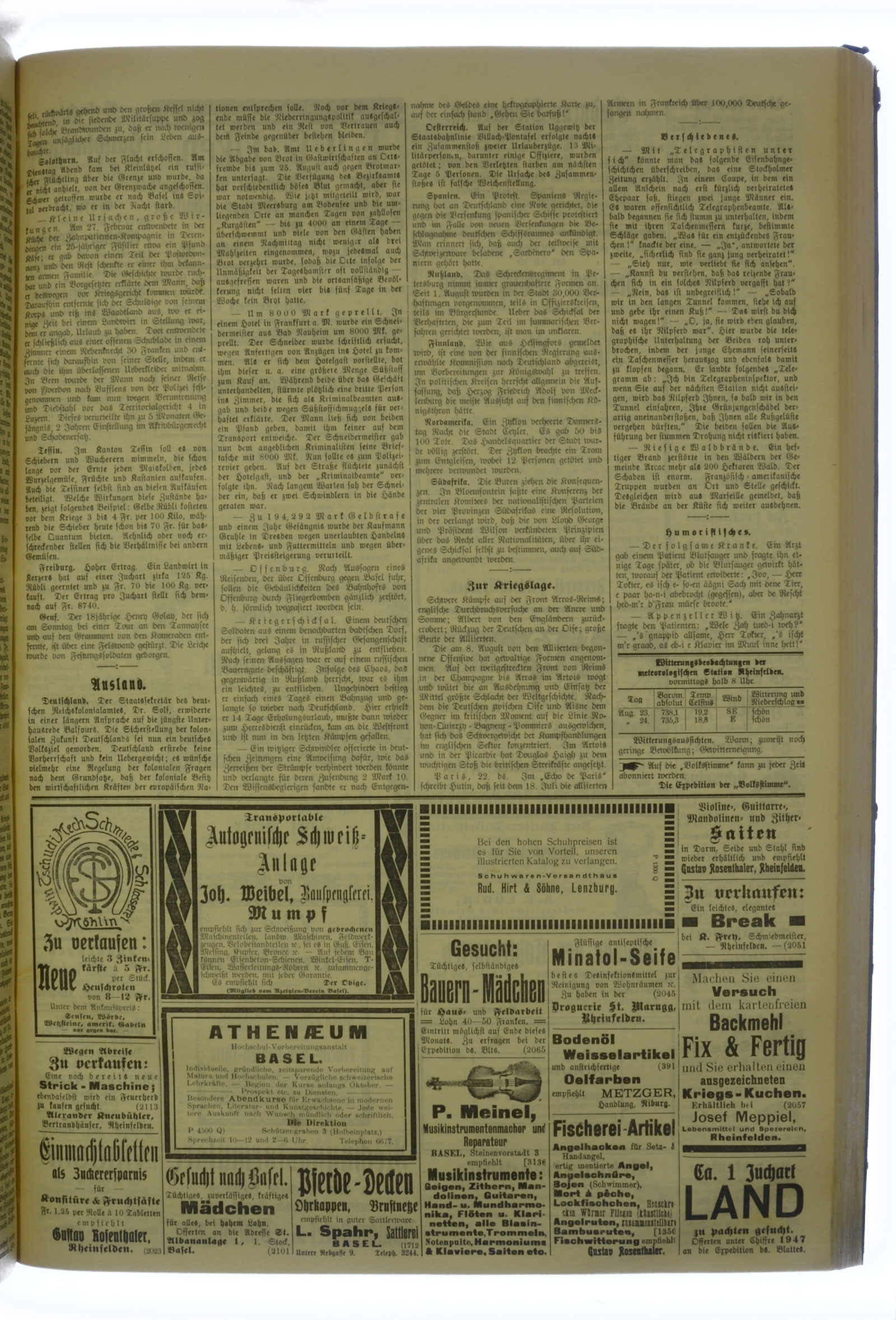 VSF_1918_101_3