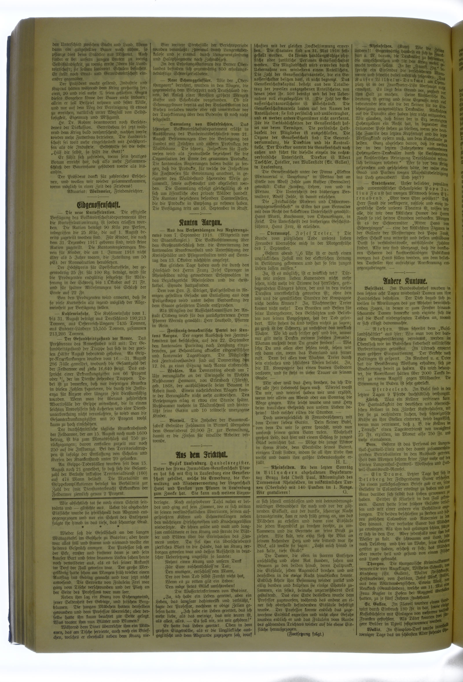 VSF_1918_108_2