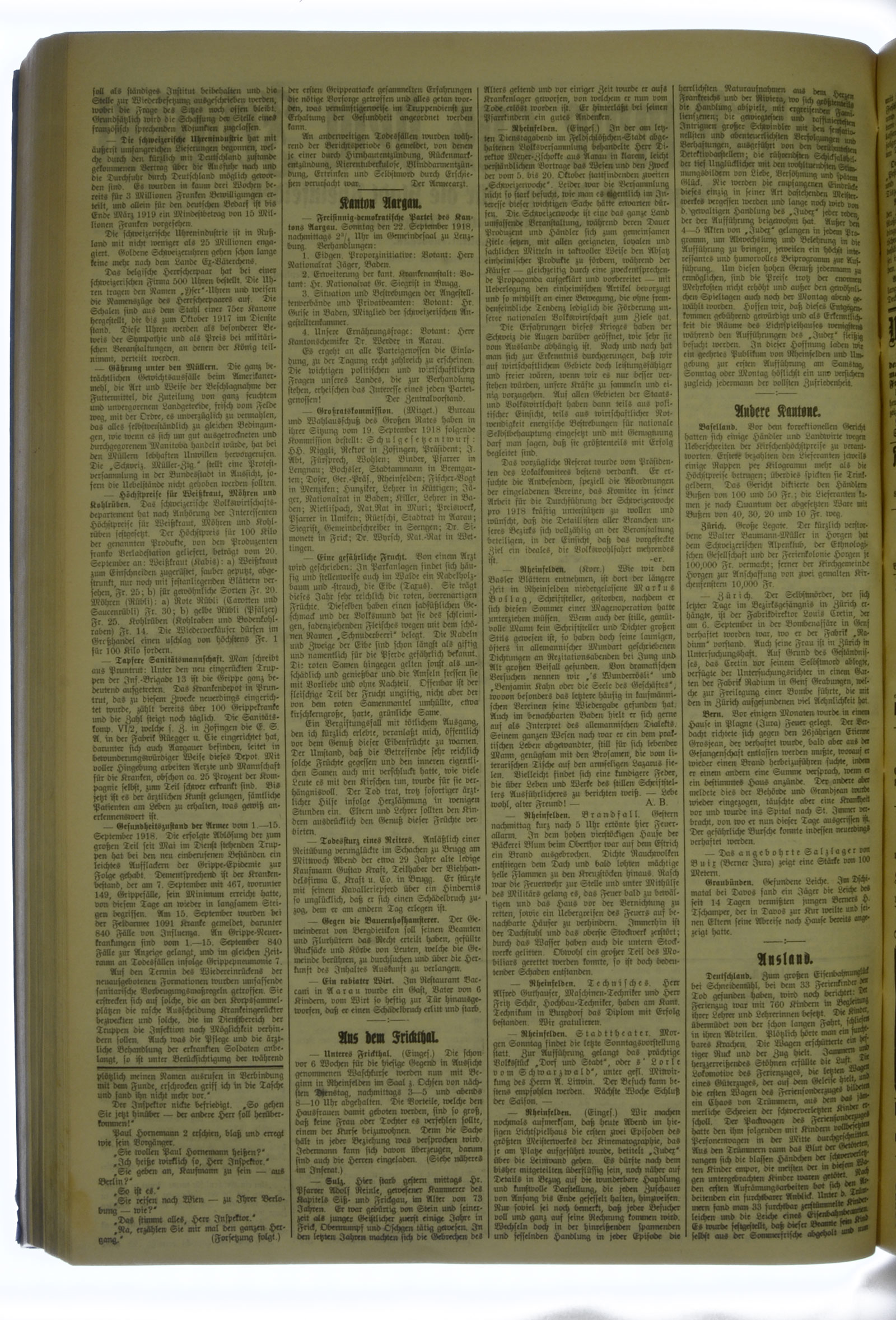 VSF_1918_113_2