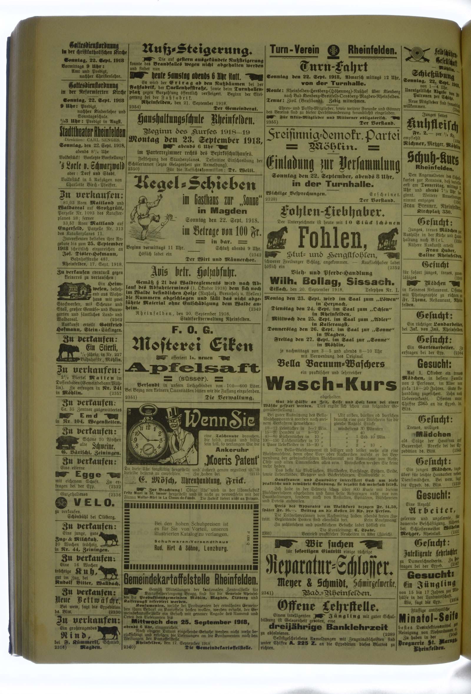 VSF_1918_113_4