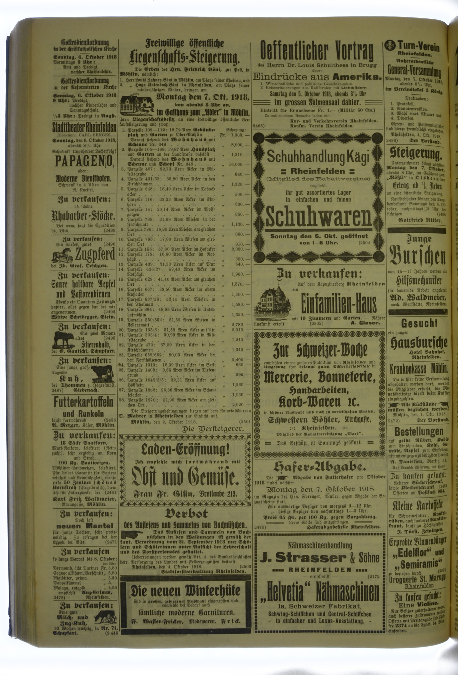 VSF_1918_119_4