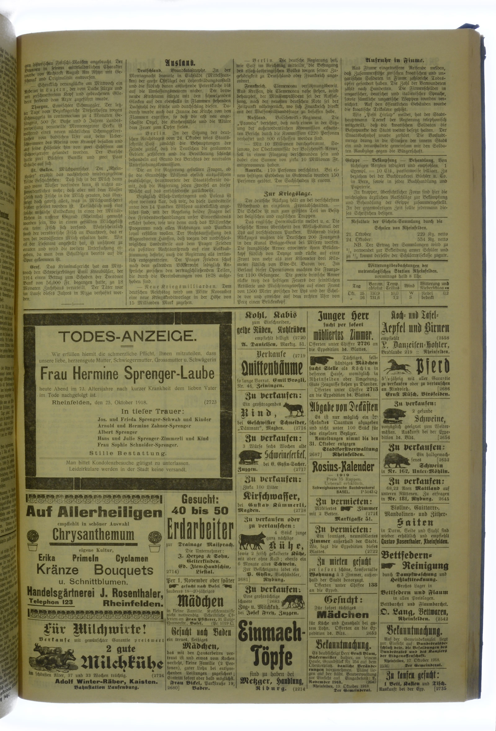 VSF_1918_128_3