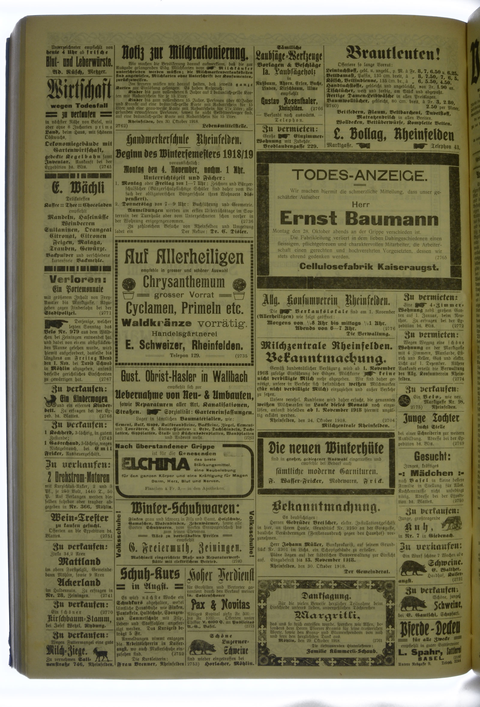 VSF_1918_130_4