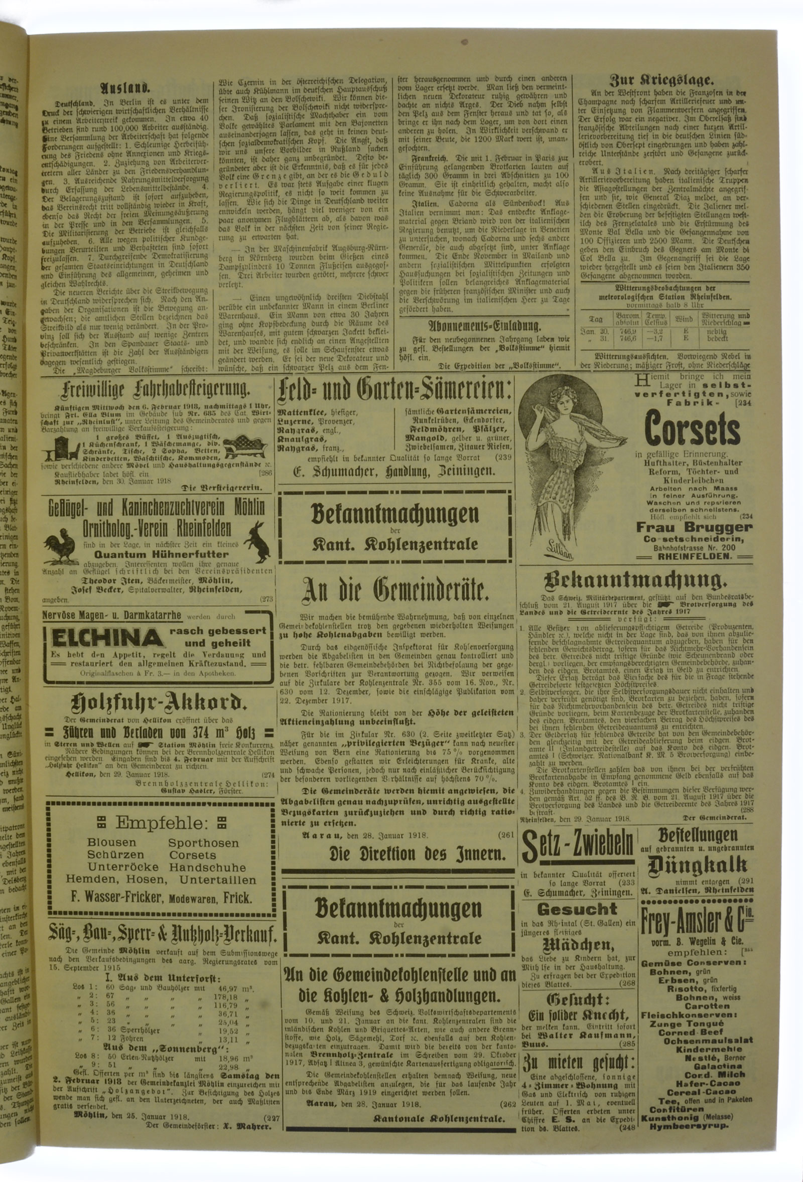 VSF_1918_13_3
