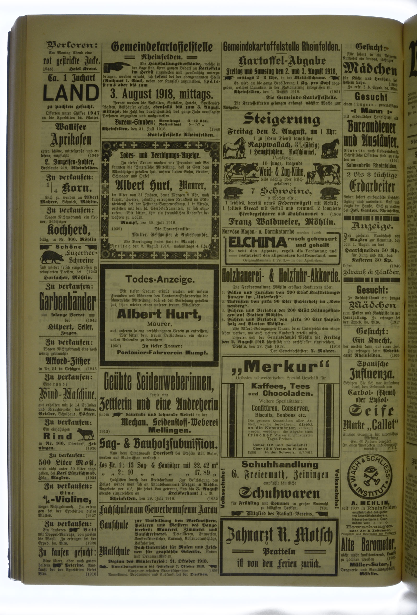 VSF_1918_91_4