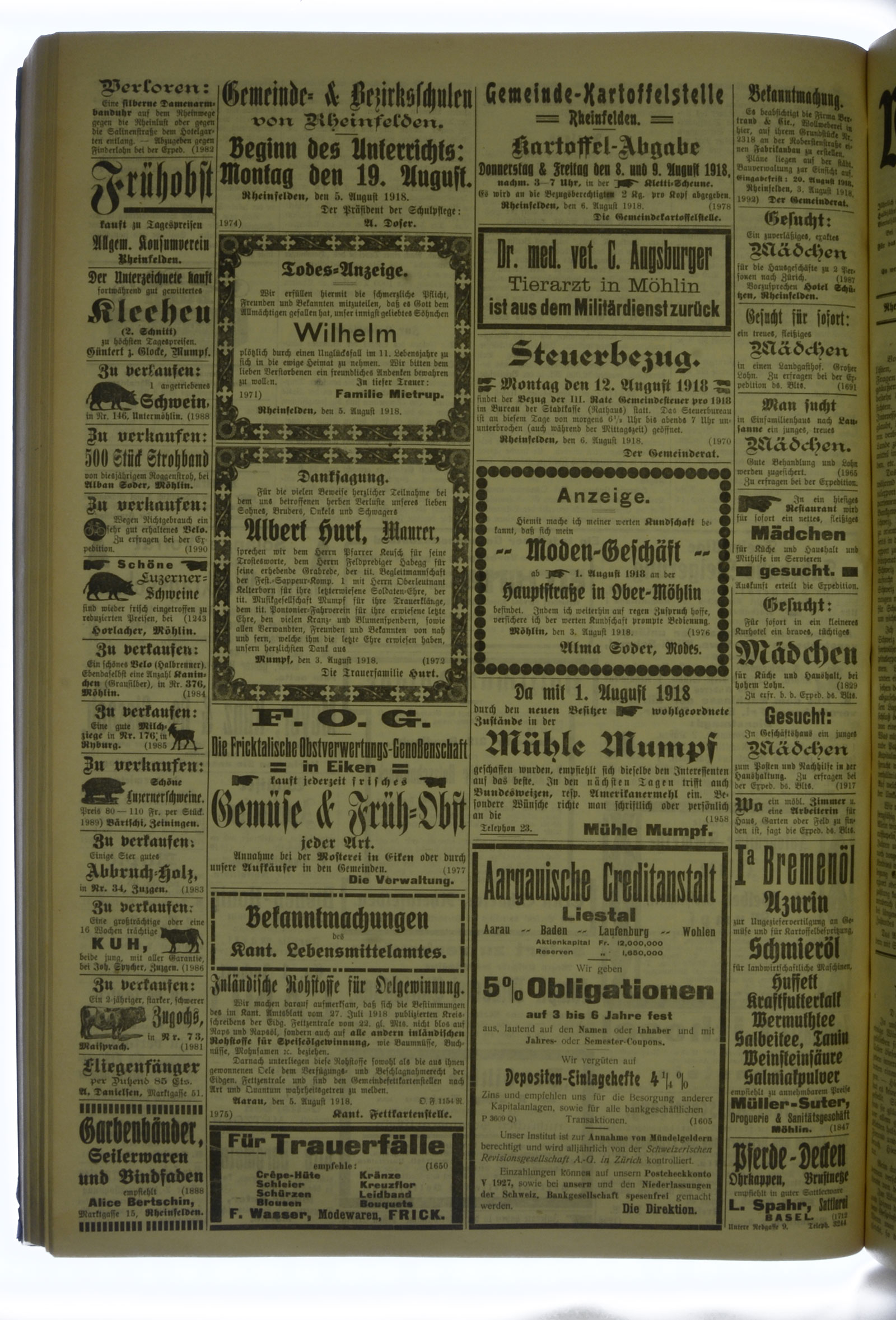 VSF_1918_93_4