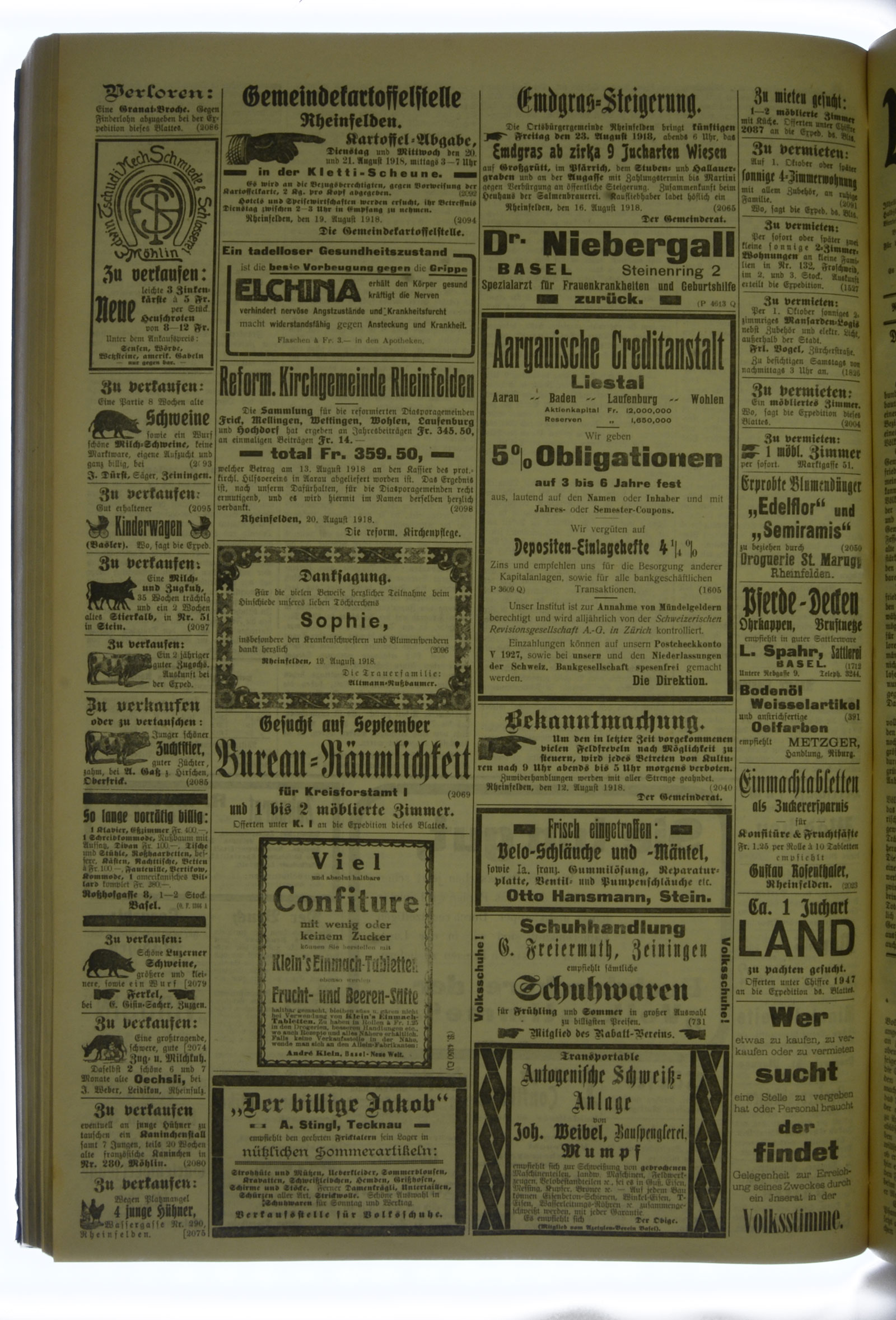 VSF_1918_99_4
