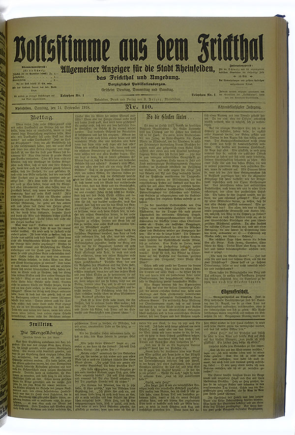 VSF_1918_110_1