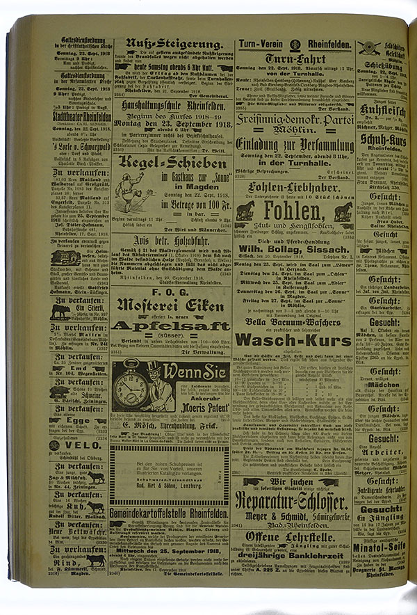 VSF_1918_113_4