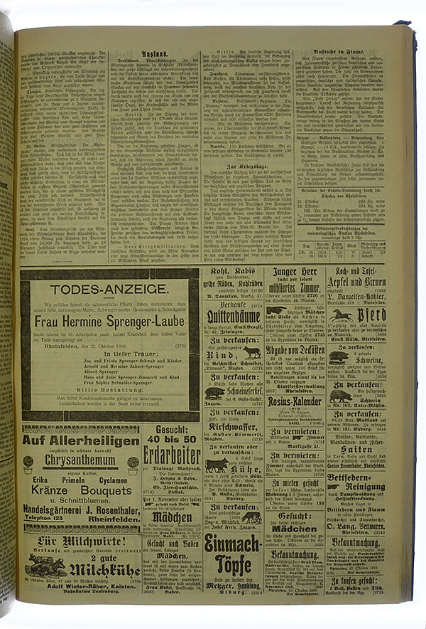 VSF_1918_128_3