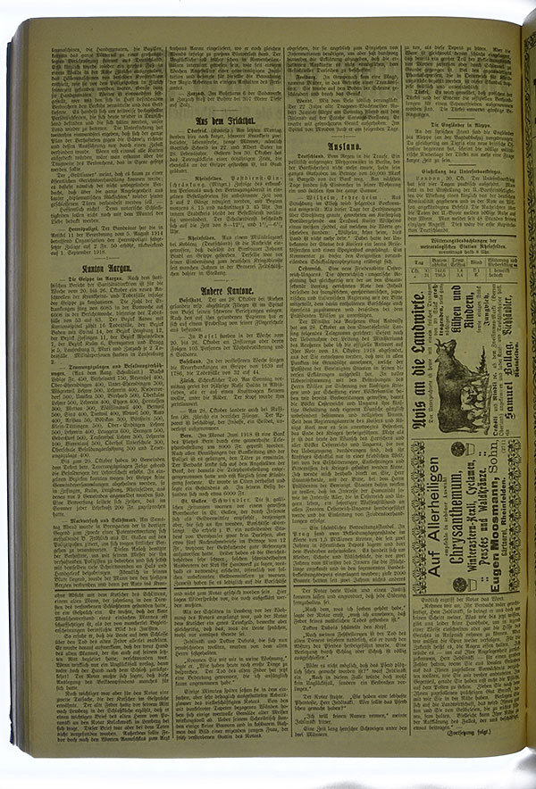 VSF_1918_130_2