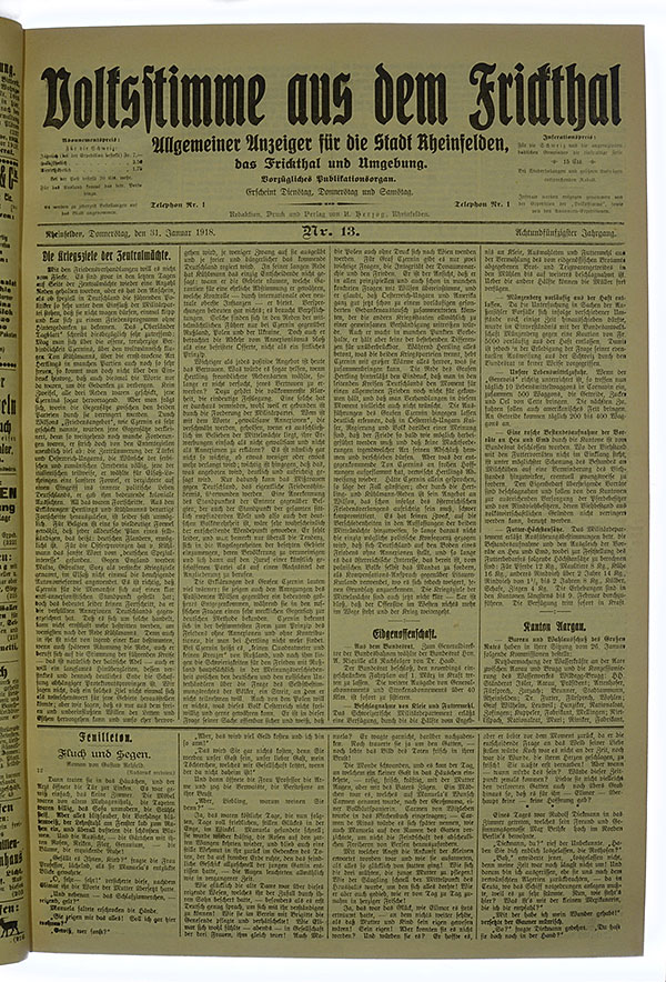 VSF_1918_13_1