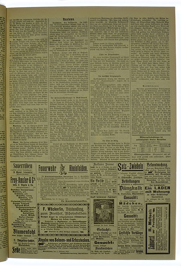 VSF_1918_15_3