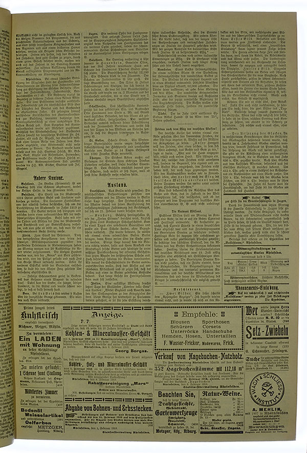 VSF_1918_19_3