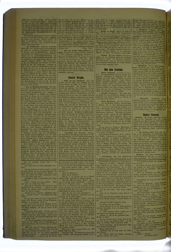 VSF_1918_81_2