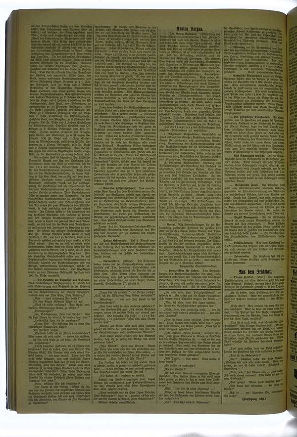 VSF_1918_88_2