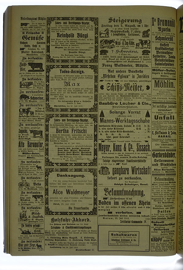 VSF_1918_89_4