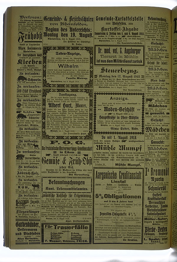 VSF_1918_93_4