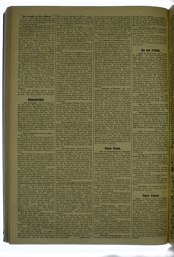 VSF_1918_95_2